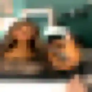 Profil de Patience à Pointis-Inard (33 ans) - plan cul gratuit