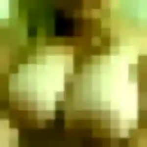 Photo de Jessica à Poisat (39 ans) - plan cul sans inscription