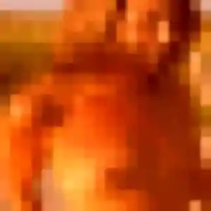 Photo sexy de Nadège, 25 ans à Pommier-de-Beaurepaire - rencontre sans lendemain