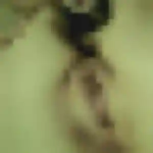 Dado, 23 ans, dispo pour plan cul à Ponteilla