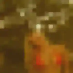 Belle Jessica, 24 ans à Pordic - voir sa photo