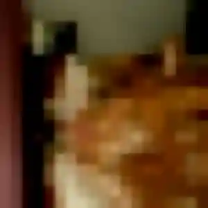 Photo sexy de Nicole, 36 ans à Port-de-Bouc - plan discret