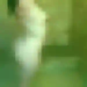 Adaora, 44 ans, connectée à Pourrain pour une rencontre coquine