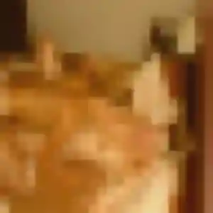 Yvette, 26 ans, disponible à Primelin pour une rencontre coquine