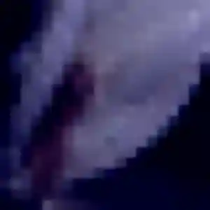 Photo sexy de Anaïs, 36 ans à Prisches - rencontre coquine