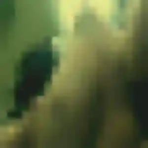 Photo exclusive de Efua, 44 ans à Prisches - rencontre coquine