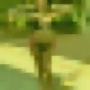 Profil de Delphine à Puylaurens (24 ans) - plan cul discret