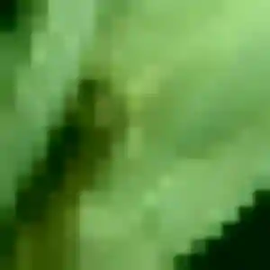 Photo privée de Sandrine, 29 ans à Quettehou - plan discret