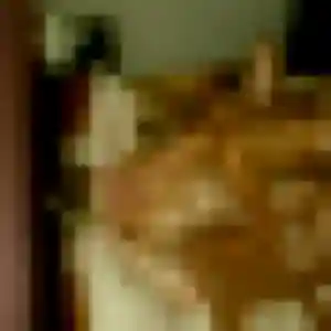 Rokia, femme de 43 ans cherche plan cul à Quibou