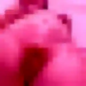 Photo sexy de Quetsia, 29 ans à Quincié-en-Beaujolais - rencontre coquine
