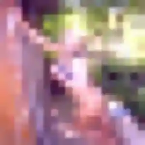 Jolie Titi, 31 ans à Quint-Fonsegrives - voir sa photo