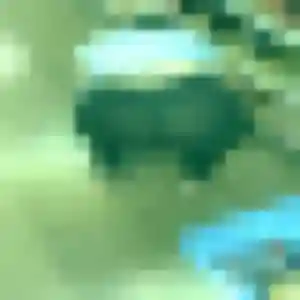 Photo exclusive de Soda, 25 ans à Ramonchamp - plan discret