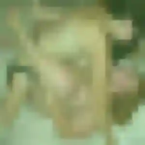 Photo privée de Ludivine, 36 ans à Retonfey - plan discret