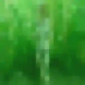 Photo privée de Nyima, 43 ans à Reugny - rencontre coquine