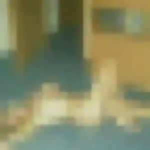 Latifa, 37 ans, disponible à Rigny pour une rencontre coquine