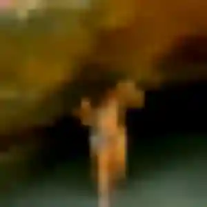 Patricia, 24 ans, cherche un plan cul à Rivières