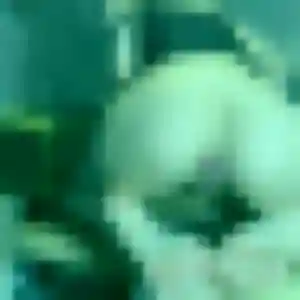 Profil de Nafi à Roaillan (45 ans) - plan cul discret