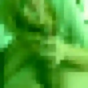 Photo perso de Naïma, 27 ans à Robiac-Rochessadoule - plan discret