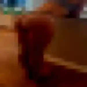 Deborah (28 ans) à Rochy-Condé attend une rencontre aujourd'hui