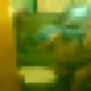 Oulimata, 28 ans, en ligne à Rocquigny pour un plan cul