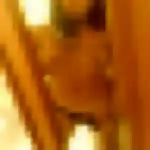 Lise, femme de 42 ans propose plan cul à Roquefort-sur-Garonne