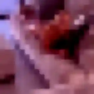 Capucine, 36 ans, dispo pour plan cul à Rothau