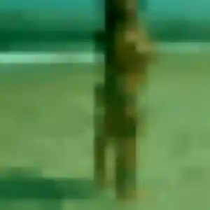 Photo de Ramatoulaye à Roulans (38 ans) - plan cul gratuit