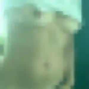 Blessing de Ruy-Montceau, 35 ans - plan cul sans prise de tête