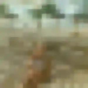 Salamata, 24 ans, connectée à Sablonceaux pour une rencontre coquine