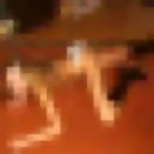 Nathalie, 36 ans, connectée à Saint-Aignan-sur-Roë pour une rencontre coquine