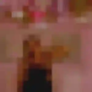 Contacte Afia, 23 ans à Saint-André-lez-Lille en privé