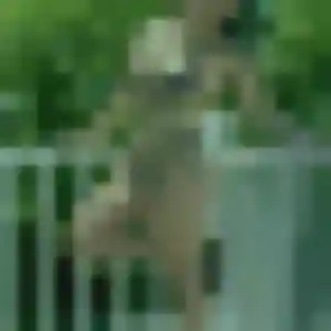 Photo de Mariame à Saint-Caradec (31 ans) - plan cul sans inscription