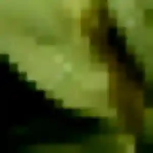 Félicité, 29 ans, dispo pour plan cul à Saint-Chamond