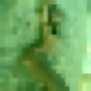 Quetsia (44 ans) à Saint-Clair-de-Halouze cherche un plan cul rapidement