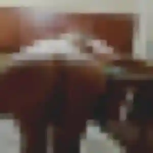 Bahati, 42 ans, connectée à Saint-Cyprien pour une rencontre coquine