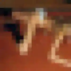 Michèle (28 ans) à Saint-Eutrope-de-Born propose une rencontre ce soir
