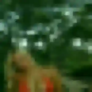 Titilayo, 45 ans, dispo pour plan cul à Saint-Geniès-des-Mourgues