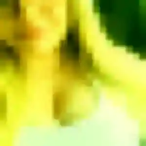 Photo privée de Gaëlle, 34 ans à Saint-Germain-de-la-Coudre - rencontre coquine