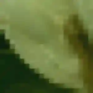 Selbé, 44 ans, connectée à Saint-Germain-les-Belles pour une rencontre coquine