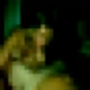 Photo sexy de Sira, 30 ans à Saint-Gervasy - rencontre sans lendemain