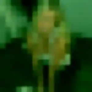 Marina, femme de 31 ans cherche plan cul à Saint-Gilles