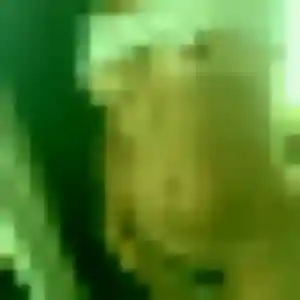 Blessing, femme de 25 ans cherche plan cul à Saint-Hilaire-la-Palud