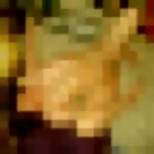 Photo perso de Sabrina, 43 ans à Saint-Hilaire-sur-Helpe - rencontre coquine