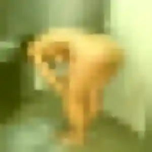 Photo de Omolara à Saint-Jean-le-Vieux (28 ans) - plan cul gratuit