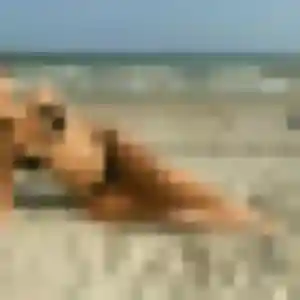 Sexy Mawusi, 25 ans à Saint-Joseph - découvrir son profil