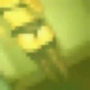 Ramatoulaye, 28 ans, cherche un plan cul à Saint-Just-la-Pendue