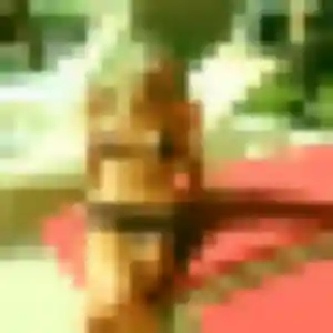 Photo de Oluchi à Saint-Just-le-Martel (29 ans) - plan cul gratuit