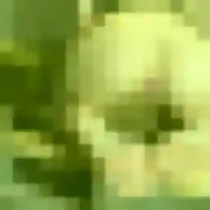 Photo sexy de Jessica, 34 ans à Saint-Laurent-de-Cognac - rencontre coquine