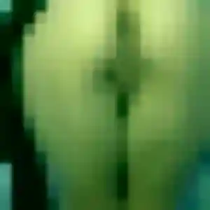 Photo de Adjoavi à Saint-Laurent-en-Grandvaux (30 ans) - plan cul anonyme
