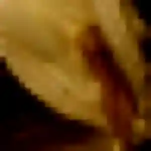 Naomie (41 ans) à Saint-Loup cherche un plan cul maintenant